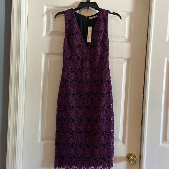 chinese dress ladies alice + olivia Women's Arista Sleeveless Cross Back Pleat Maxi Dress,  Solstice, Purple, 0 at Amazon Women's Clothing store main image 0